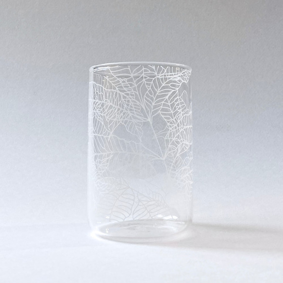 Fern Pattern Glass - Large - Angiopteris somai Hayata