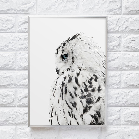 【0053】アートポスター　White Owl Decor, Scandinavian Print　フクロウ　北欧