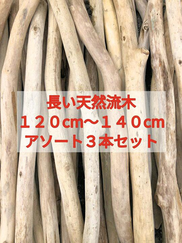 送料無料●（１２０cm〜１４０cm前後）南信州産 枝幹 長い流木 天然流木 格安アソート ３本セット