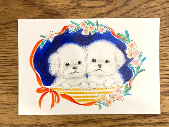 【白い仔犬たち】額入り　原画　ハガキ