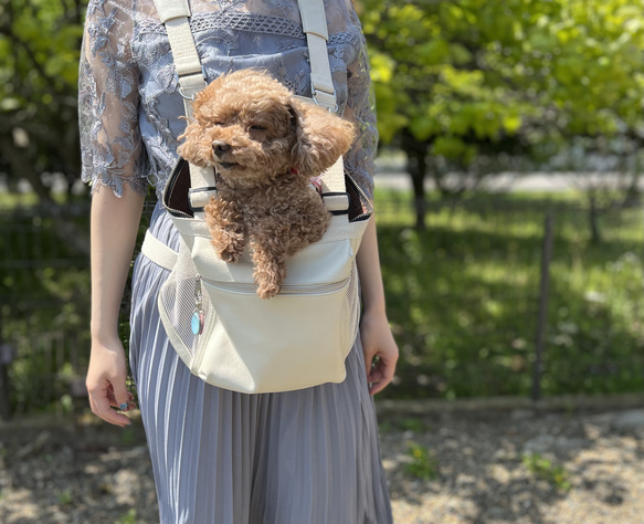 合皮タイプ「─大切なものは前に─」 小型犬用キャリーバック「パスカ・リックスキー」