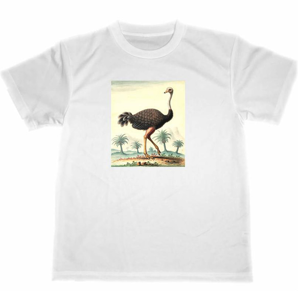 ダチョウ　ドライ　Tシャツ　アニマル　グッズ　動物　動物園