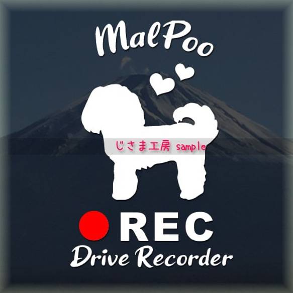 わんちゃんの可愛いドラレコステッカー!!『DRIVE　RECORDER』