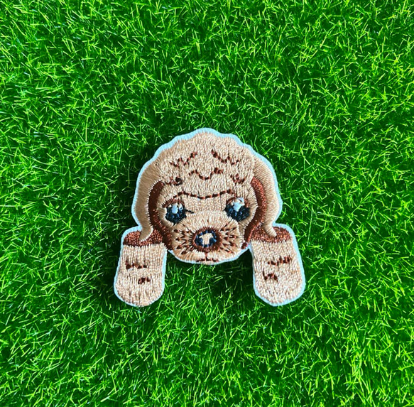 かわいい ワンちゃん トイ・プードル 犬 アイロンワッペン 刺繍ワッペン