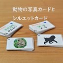 動物の写真カードとシルエットカードセット　40種　全80枚　小学校受験にも