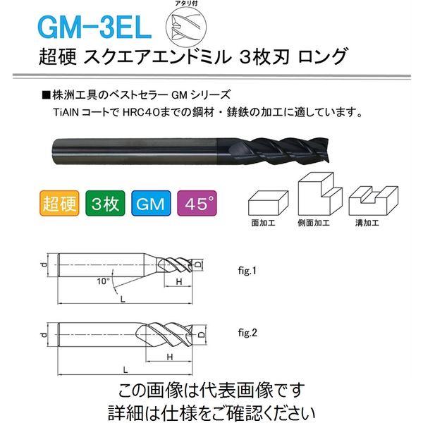 株洲ダイヤモンド切削工具 超硬 スクエアエンドミル 3枚刃 ロング GM-3EL-D12.0 1セット(2本)（直送品）