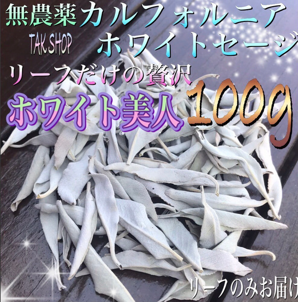 新入荷✴︎最上級✴︎カルフォルニア ホワイトセージ リーフ100g✴︎プレゼント付✴︎