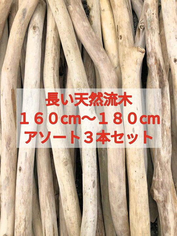 送料無料●（１６０cm〜１８０cm前後）南信州産 枝幹 長い流木 天然流木 格安アソート ３本セット