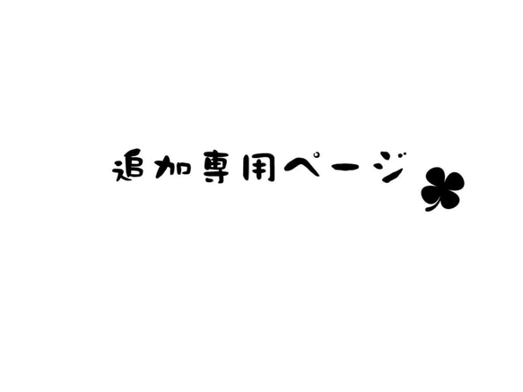 追加料金 専用ページ