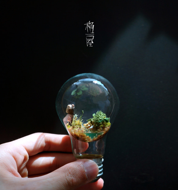 アンチ重力の苔電球 / Anti Gravity Bulb