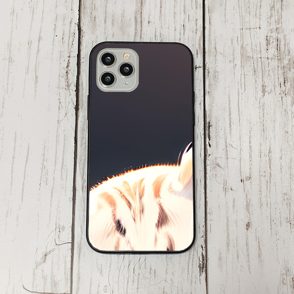 iphoneケース3-5-19 iphone 強化ガラス 猫・ねこ・ネコちゃん 箱19 かわいい アイフォン iface