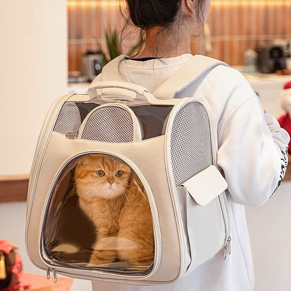 ペット用 犬用　リュック ペットバッグ ドッグ　外出用　猫 ワンちゃん　可愛い　10kg内