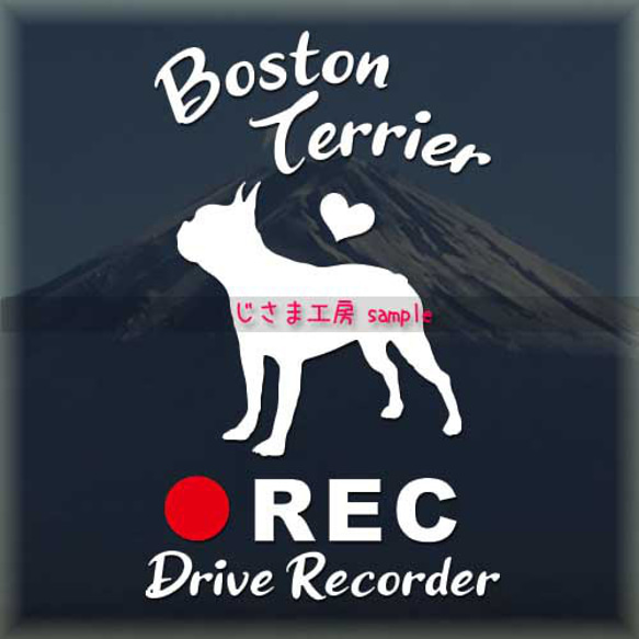 わんちゃんの可愛いドラレコステッカー!!『DRIVE　RECORDER』