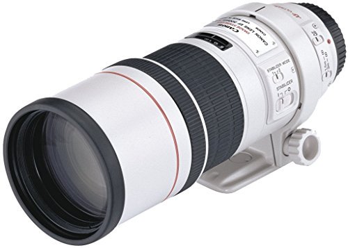 Canon 単焦点望遠レンズ EF300mm F4L IS USM フルサイズ対応【中古品】