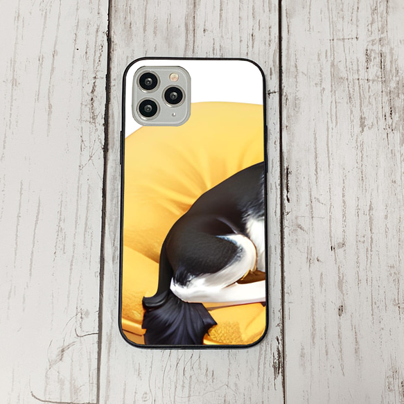 iphoneケース1-5-41 iphone 強化ガラス 犬・いぬ・ワンちゃん 箱14 かわいい アイフォン iface