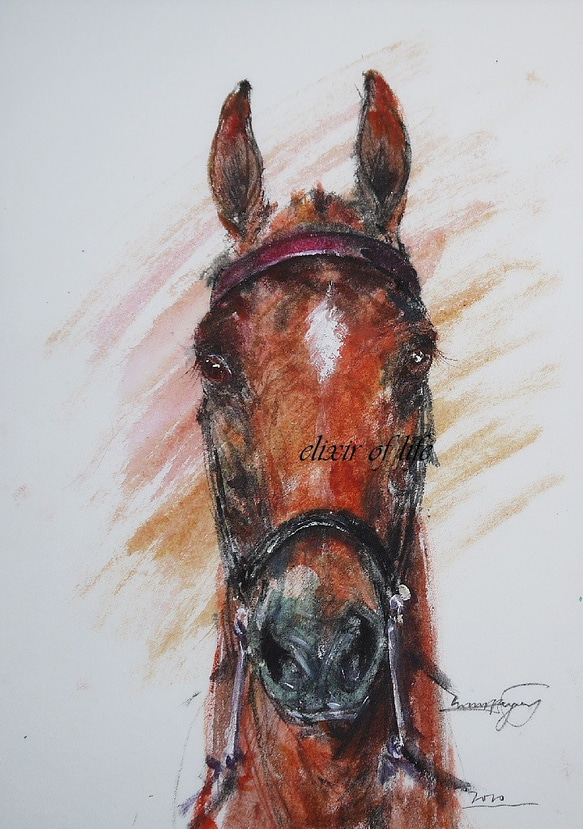  Saddlebred（墨絵、その他、厚い和紙、２６ｃｍ×３６ｃｍ）