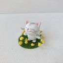 【再販】春を感じて猫さん グレートラ白受注制作