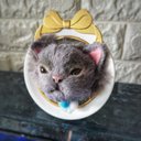 3Dアート「飛び出す猫さん」