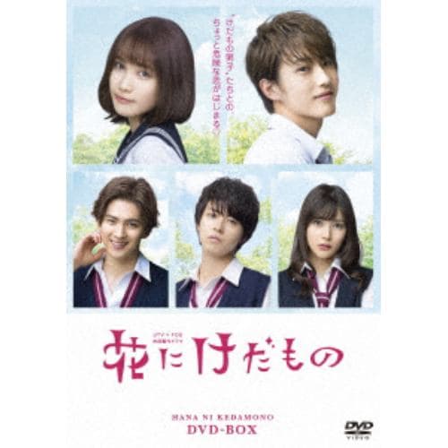 【DVD】花にけだもの DVD-BOX