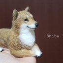 【期間限定の値引き中】Shiba inu.