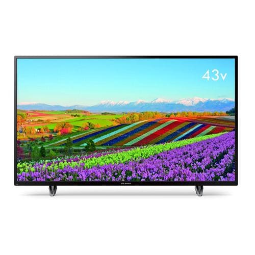 【推奨品】FUNAI FL-43U3060 43V型 4K対応液晶テレビ