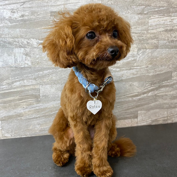 日本製　ペットチョーカー　デニムチョーカー　迷子札　首輪　犬　ペット