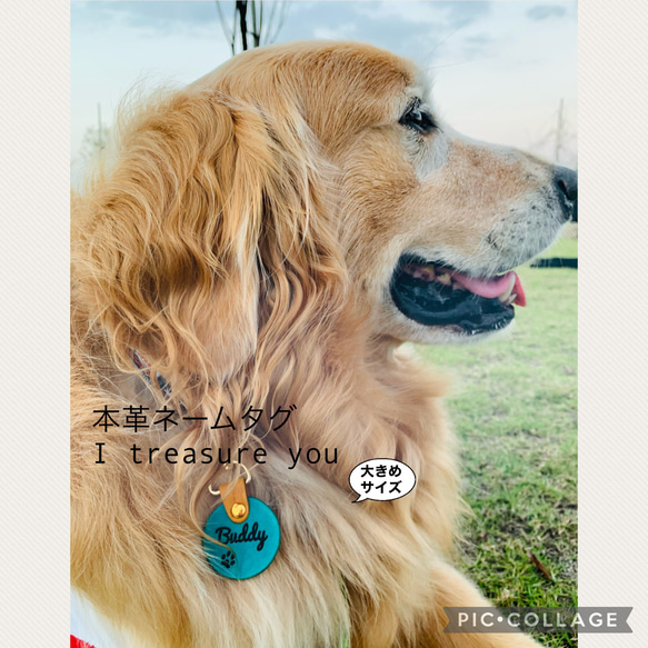 大型犬サイズの本革ネームタグ9カラー・12フォントのオーダーメイド✿︎I treasure you✿︎