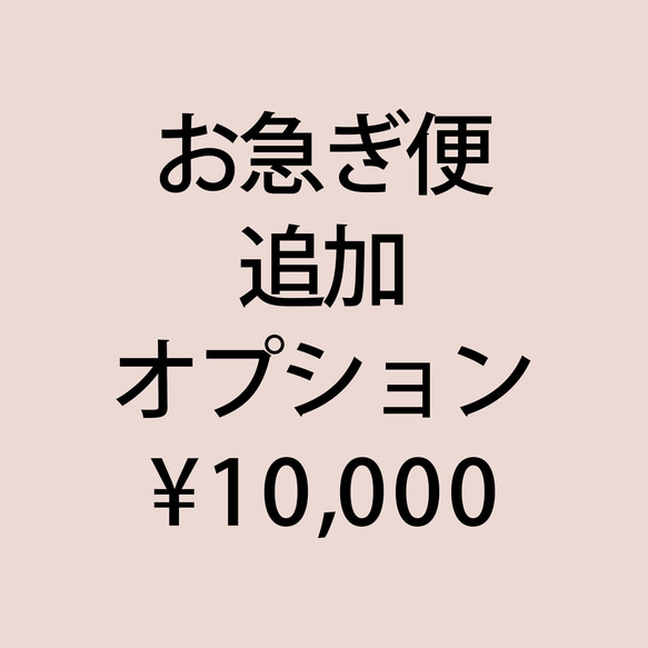 追加オプション ｜ お急ぎ便 ￥10,000