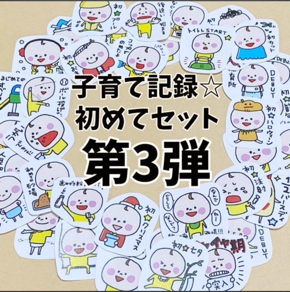 子育て記録フレーク☆初めてセット第３弾