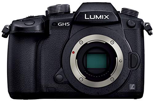 パナソニック ミラーレス一眼カメラ ルミックス GH5 ボディ ブラック DC-GH5-K【中古品】