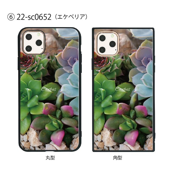 ガラス保護フィルム付 iPhone 11 Pro Max ケース 【プラント植物】