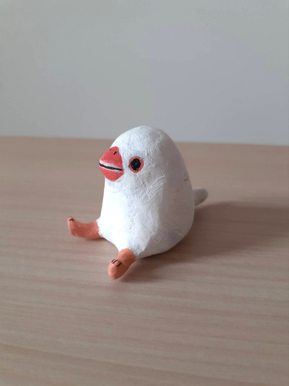 手のひらからちょこんと白文鳥さん