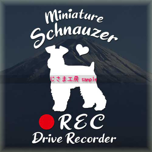 わんちゃんの可愛いドラレコステッカー!!『DRIVE　RECORDER』