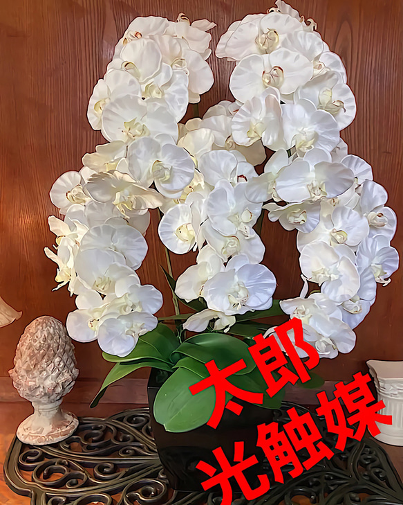 光触媒人工観葉植物ウォールグリーンフェイクハンドメイド　お供え花胡蝶蘭806