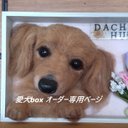 【羊毛フェルトオーダー】【愛犬box オーダー 注文ページ】【送料無料】【Ran felt】#うちの子オーダー#ペットロス#愛犬#羊毛フェルト犬#犬