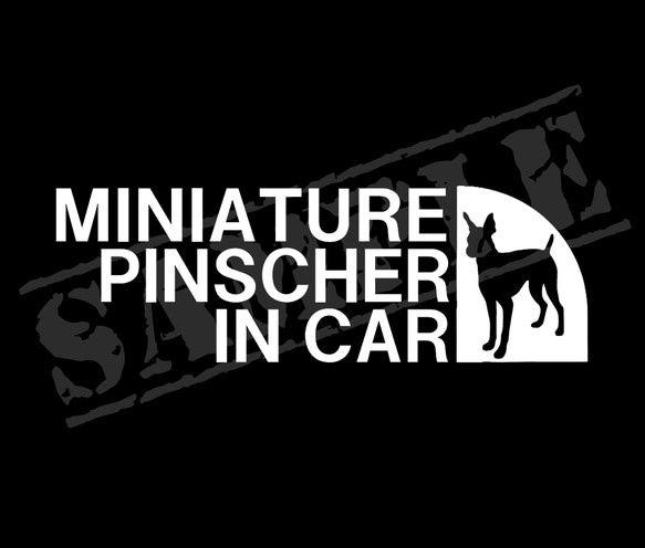 MINIATURE PINSCHER IN CAR ステッカー（ミニチュアピンシャー・立ち耳） 5.5cm×17cm