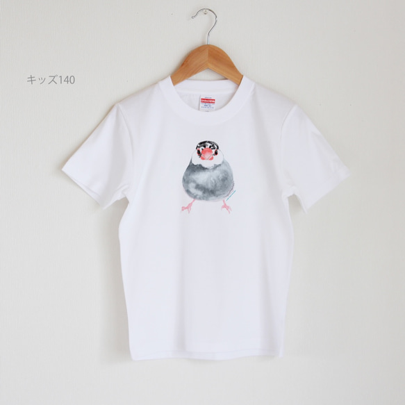 p-jet　桜文鳥 Tシャツ キッズサイズ　/　親子コーデ　リンクコーデ　お揃い　子供 　/ 鳥　文鳥