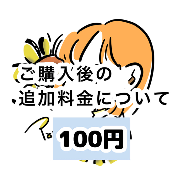 ご購入後の追加料金はこちらからお願い致します。【100円】