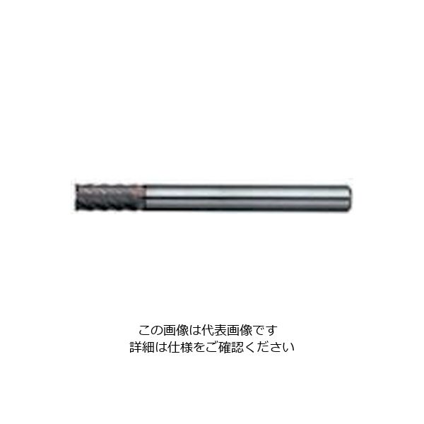 日進工具 NS 高硬度用ラジアスEM Φ5 MHDH645R