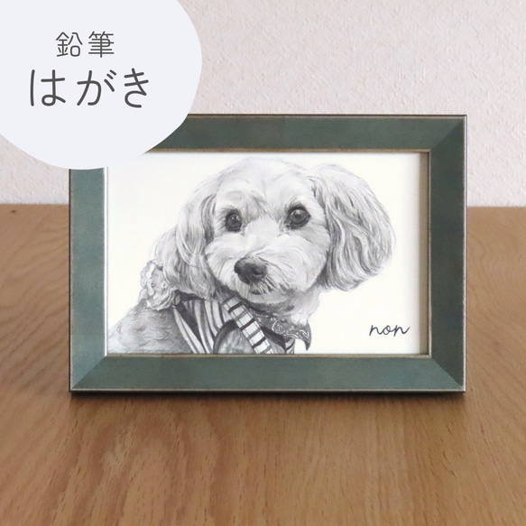 【はがき/鉛筆細密画】ペットのリアルな似顔絵【どんな動物でも!】