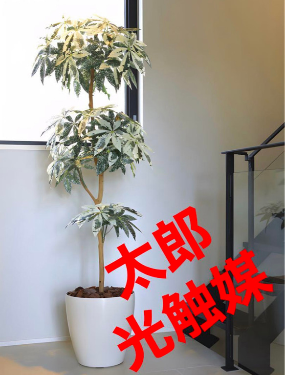 光触媒　人工観葉植物　ウォールグリーン　フェイクグリーン　ミルキーパキラ1.8