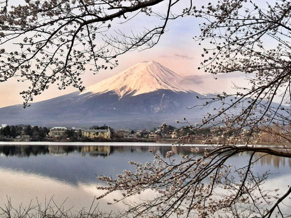 世界遺産 富士山 写真 A4又は2L版 額付き