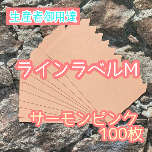 ラインラベル 中 肌 100枚 園芸ラベル カラーラベル 多肉植物 エケベリア