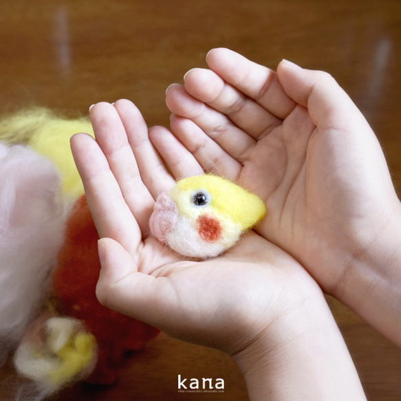 羊毛フェルト体験キット第２弾！｢茜色のほっぺちゃん！オカメインコのブローチ｣