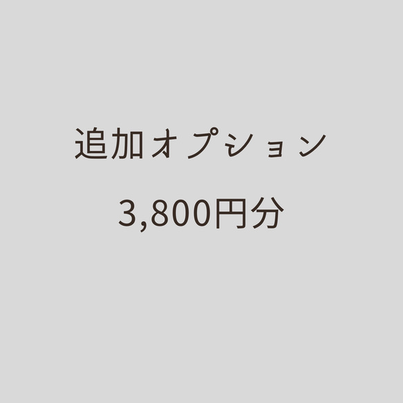 【ランドセルリメイク】『3,800円分』