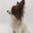 羊毛フェルトで作る愛犬さん　オーダーメイド30cm