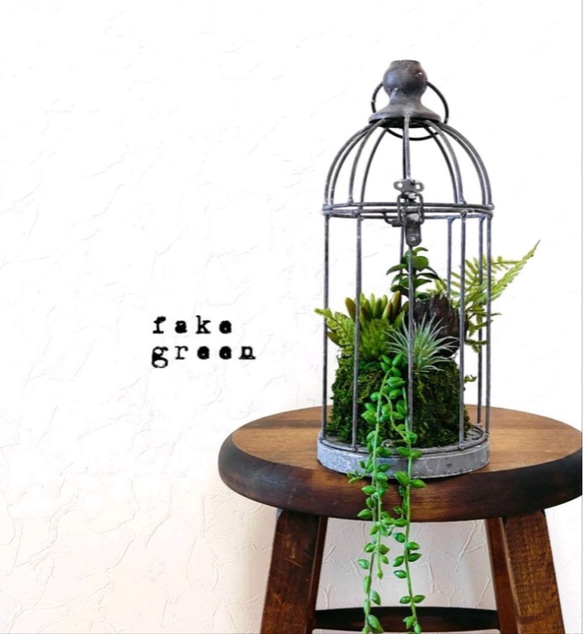 多肉植物の寄せ植え bird cage