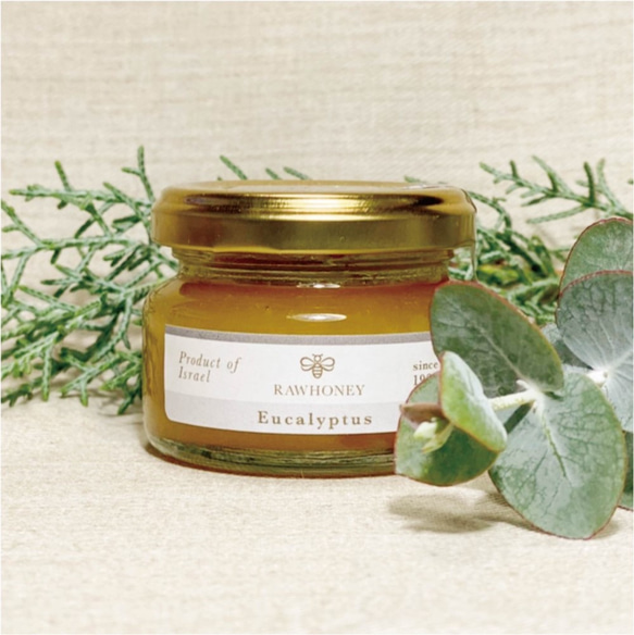 【 Raw Honey 】ユーカリハニー〈Gift size_70g〉