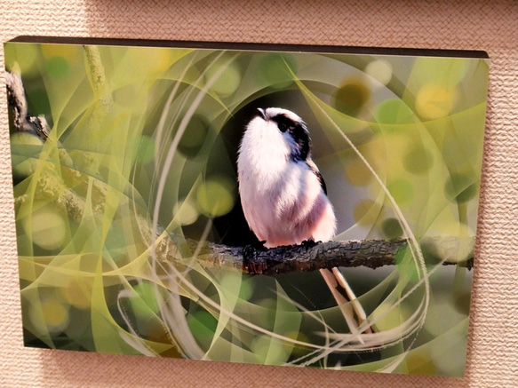 A5サイズの野鳥写真パネルその６