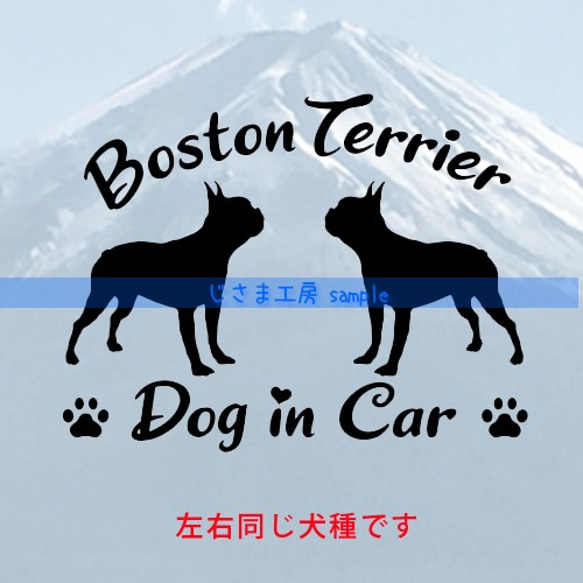 【同一犬種】　かわいい愛犬2頭飼い『Dog　in　Car』シルエットステッカー